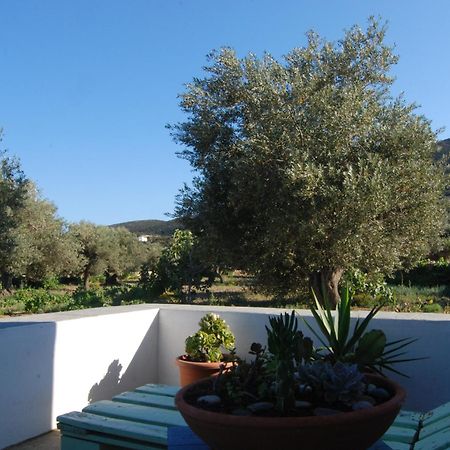 Villa Perivoli Platis Gialos  Exterior foto