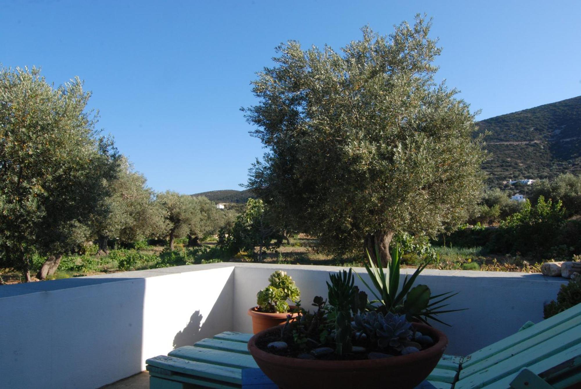 Villa Perivoli Platis Gialos  Exterior foto